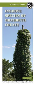 Cover of Invasive Species brochure