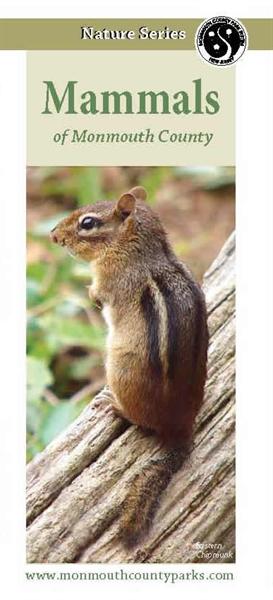 Mammals of Monmouth County