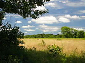 Natural Resources