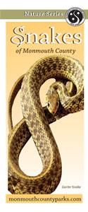 Cover of Snakes of Monmouth County
