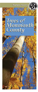 Trees of Monmouth County