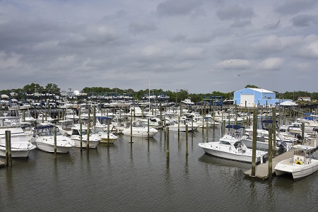 monmouth cove marina monmouth cove marina