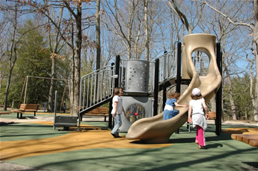 Playground at Shark River Park