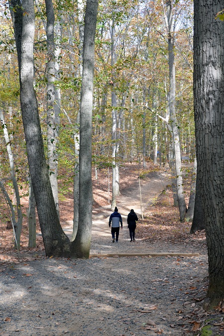 woodsy trail woodsy trail