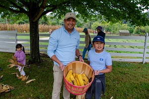 corn husking contest corn husking contest