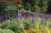 1977 Marjorie Wihtol bequeaths her home and 20 acres which opens in 1978 as Deep Cut Gardens. Now at 54 acres, Deep Cut Gardens is an horticulural park dedicated to the home gardener. Deep Cut Gardens is a living catalog of native and cultivated plant species to be observed throughout the seasons.