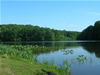 2007 Perrineville Lake Park opens. While most county parks take decades to expand, this one developed rapidly during the early 2000s. The first two parcels (just over 90 acres) were purchased in 1999 and just ten years later by 2009, the property reached 912 acres.  In terms of size, Perrineville is now one of the largest county parks.   