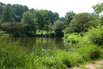 a lake at holmdel park