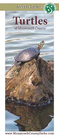 Turtles of Monmouth County brochure 