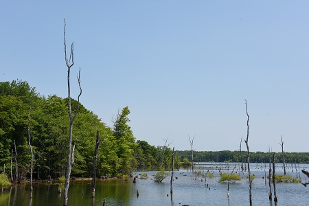 scenic reservoir scenic reservoir