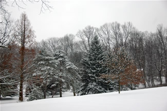 Holmdel Park in the Winter