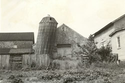 Barn complex at Longstreet Farm 1967