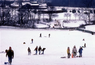 Sledding at Holmdel Park - 1982
