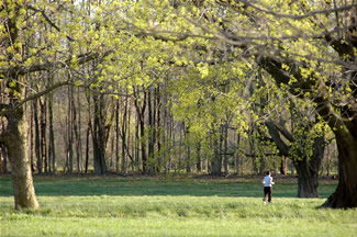 Thompson Park in the spring