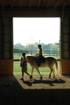 Photo of a horse at Sunnyside Equestrain Center